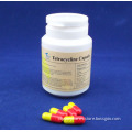 Tetracycline Capsule 250mg